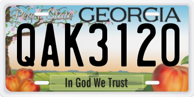 GA license plate QAK3120