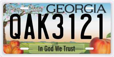 GA license plate QAK3121