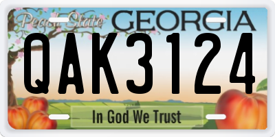 GA license plate QAK3124