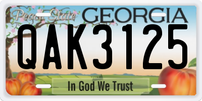 GA license plate QAK3125