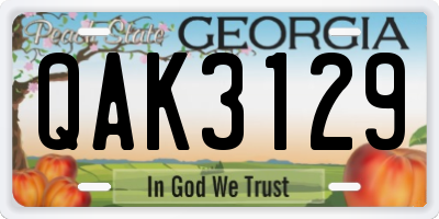 GA license plate QAK3129