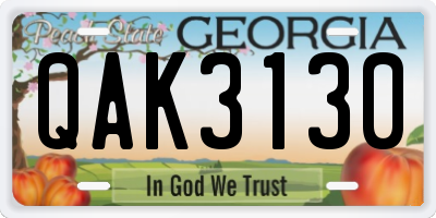 GA license plate QAK3130