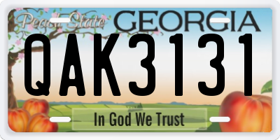 GA license plate QAK3131