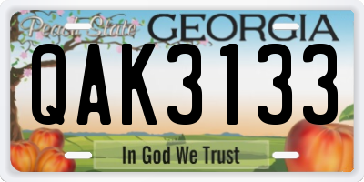 GA license plate QAK3133