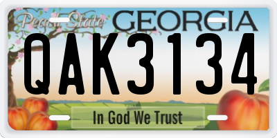 GA license plate QAK3134