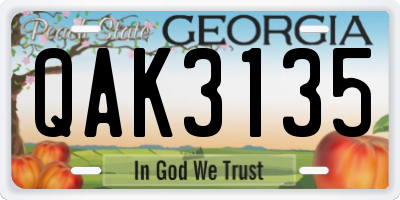 GA license plate QAK3135