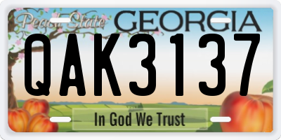 GA license plate QAK3137