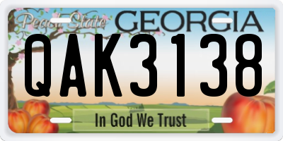 GA license plate QAK3138