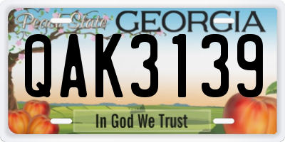 GA license plate QAK3139