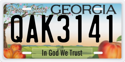GA license plate QAK3141