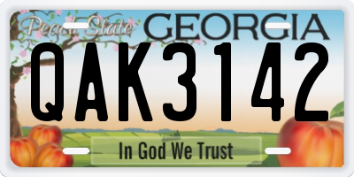 GA license plate QAK3142