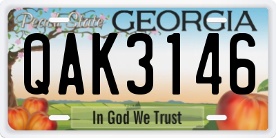 GA license plate QAK3146