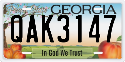 GA license plate QAK3147