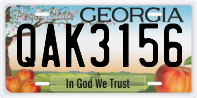 GA license plate QAK3156