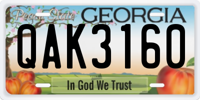 GA license plate QAK3160