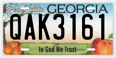 GA license plate QAK3161
