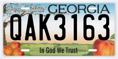 GA license plate QAK3163