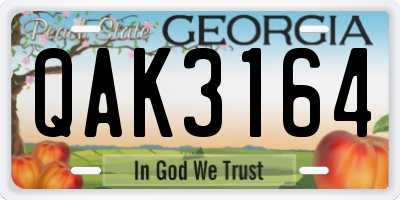GA license plate QAK3164