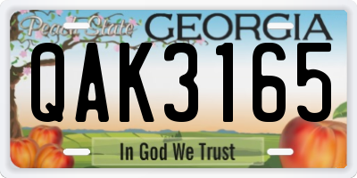 GA license plate QAK3165
