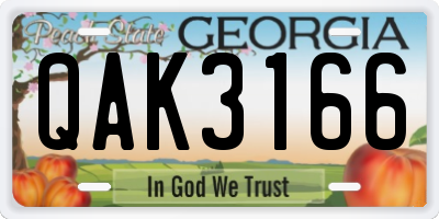 GA license plate QAK3166