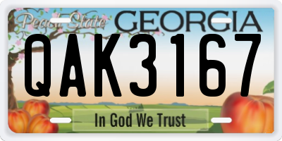 GA license plate QAK3167