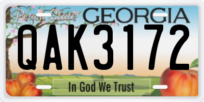 GA license plate QAK3172