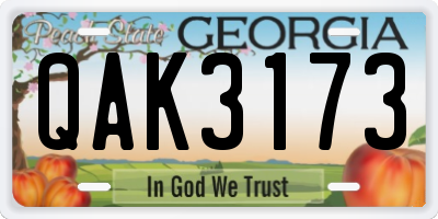GA license plate QAK3173