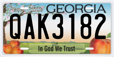 GA license plate QAK3182