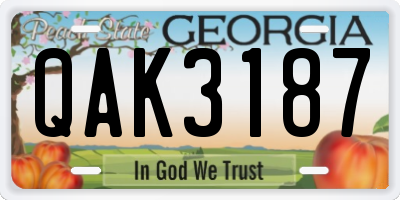 GA license plate QAK3187