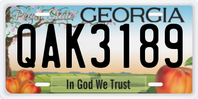 GA license plate QAK3189