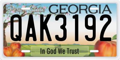 GA license plate QAK3192