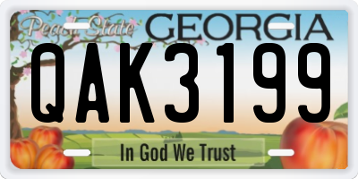 GA license plate QAK3199