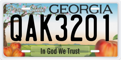 GA license plate QAK3201