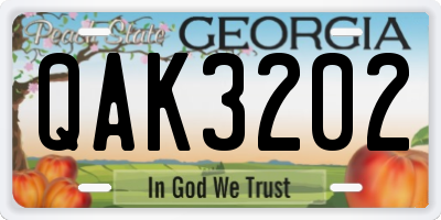 GA license plate QAK3202