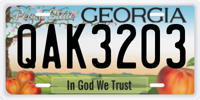 GA license plate QAK3203