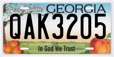 GA license plate QAK3205