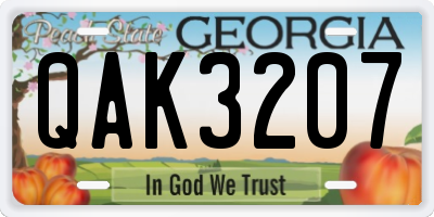 GA license plate QAK3207