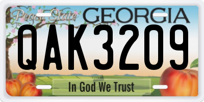 GA license plate QAK3209