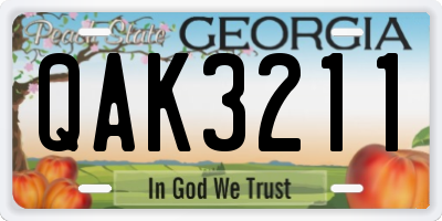 GA license plate QAK3211