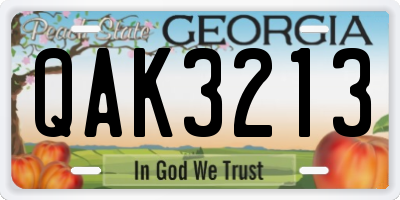 GA license plate QAK3213