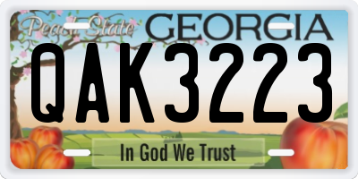 GA license plate QAK3223