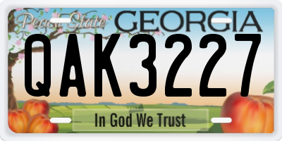 GA license plate QAK3227