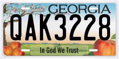 GA license plate QAK3228