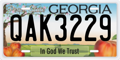 GA license plate QAK3229