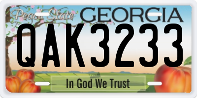 GA license plate QAK3233