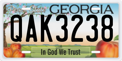 GA license plate QAK3238