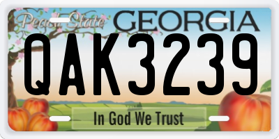 GA license plate QAK3239