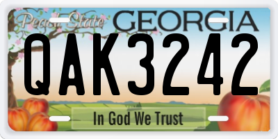 GA license plate QAK3242