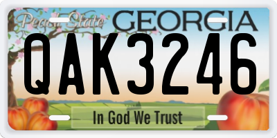 GA license plate QAK3246