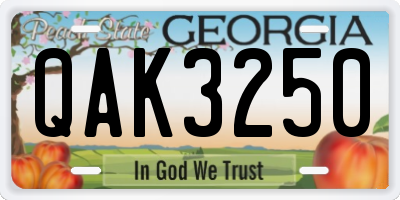 GA license plate QAK3250